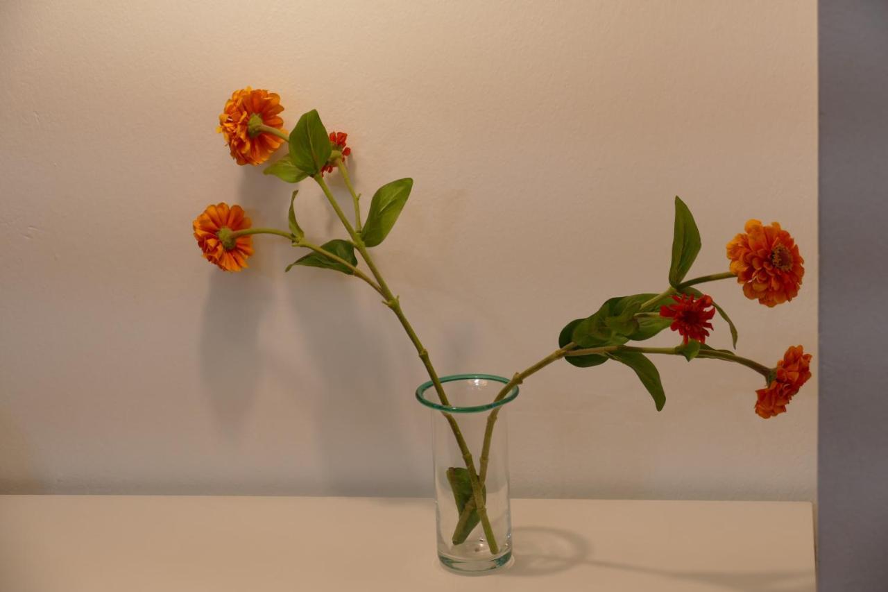 ボローニャResidenza Santo Stefano 144アパートメント エクステリア 写真